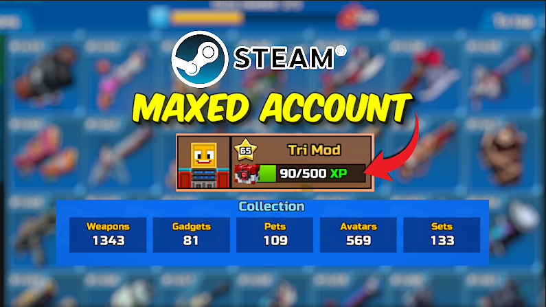 Maxed Account - Steam Account
